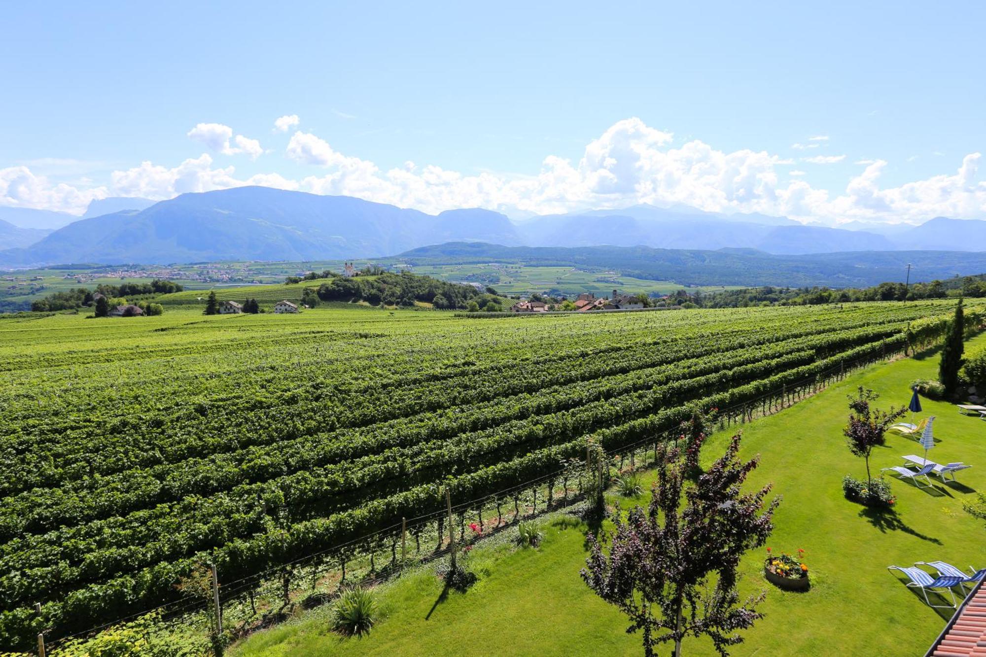 Das Matscher Residence & Garden Hotel Appiano Sulla Strada Del Vino Exterior foto